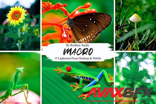 15 Macro Lightroom Presets