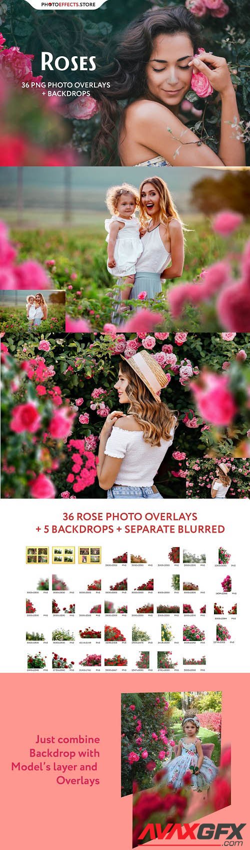 36 Rose Photo Overlays - 6540059