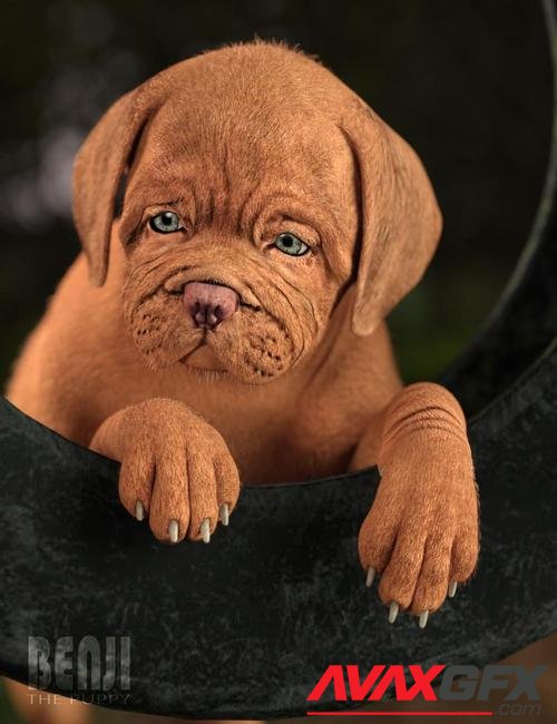 Benji The Puppy HD for Daz Dog 8