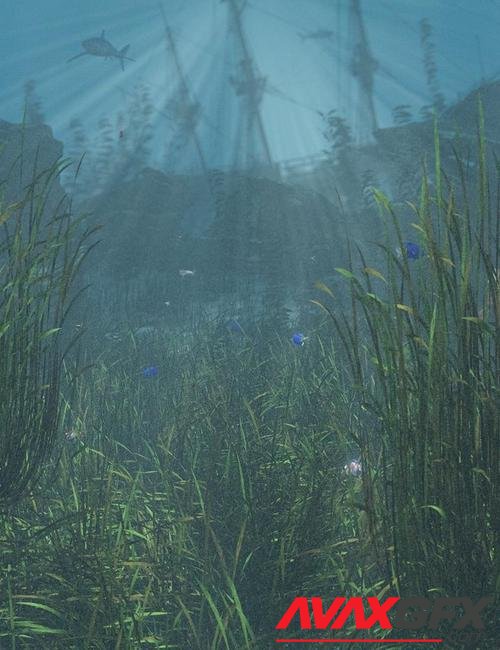 Just Beachy - Seagrass Underwater Meadows