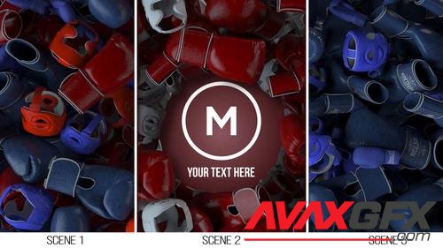 MotionArray – Boxing Gloves And Helmet Reveal Logo 986796