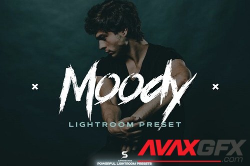 Studio Moody Lightroom Preset