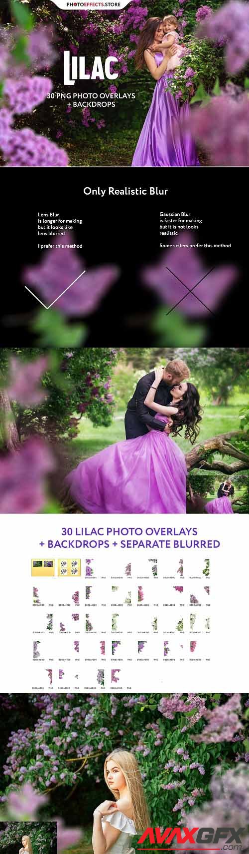 30 Lilac Photo Overlays - 6542496