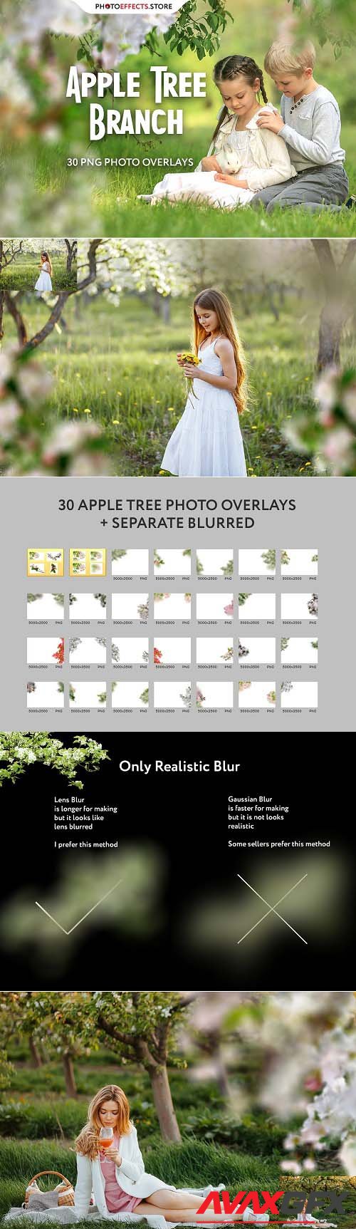 30 Apple Tree Branch Photo Overlays - 6616341