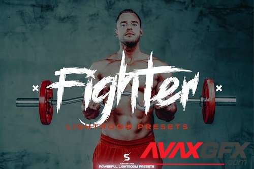 Fighter Lightroom Presets