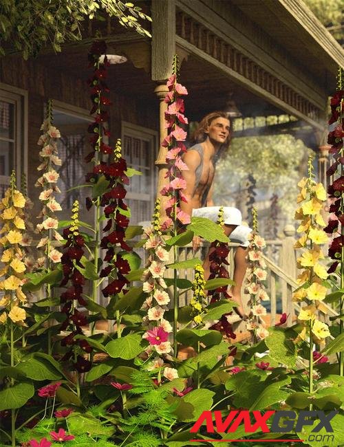 Cottage Garden Flowers - Hollyhocks