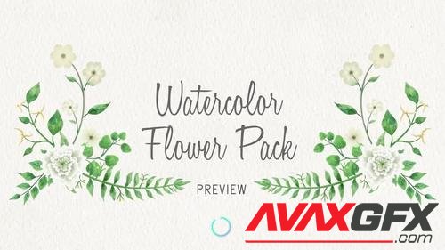 MotionArray – Floral Watercolor Pack 1016815