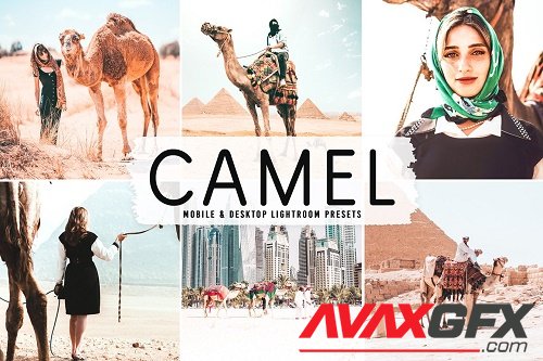 Camel Pro Lightroom Presets - 6622399