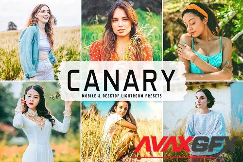 Canary Pro Lightroom Presets - 6622407