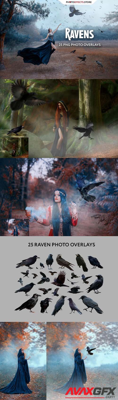 25 Ravens Photo Overlays - 6616712