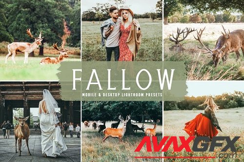 Fallow Mobile & Desktop Lightroom Presets