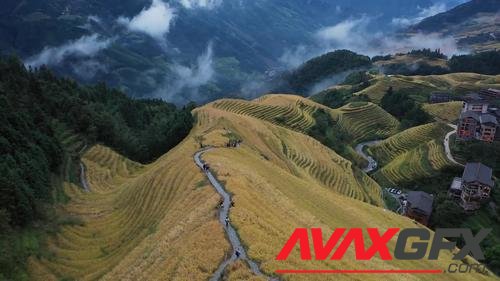 MotionArray – Aerial View Of Rice Terraces In China 1053144