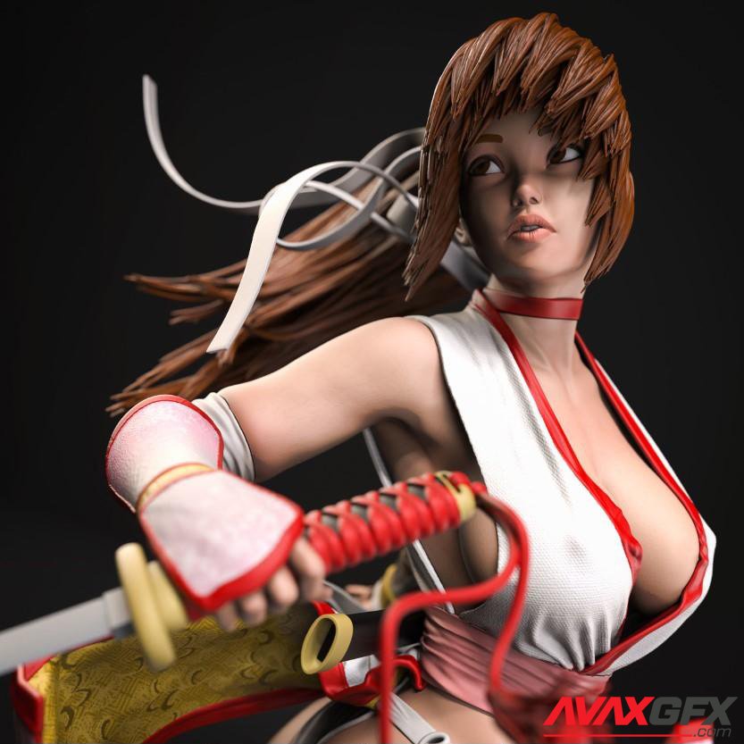 Kasumi – Dead Of Alive 3D Printable STL