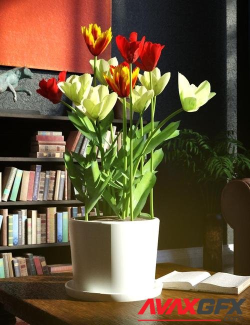 Garden Flowers Vol 2. Tulip Plants