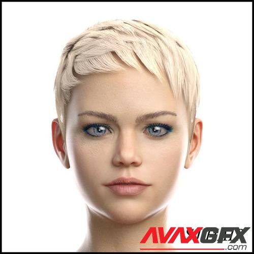 SJ Hair for Genesis 8 Female