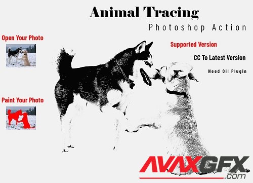 Animal Tracing Photoshop Action - 6647974