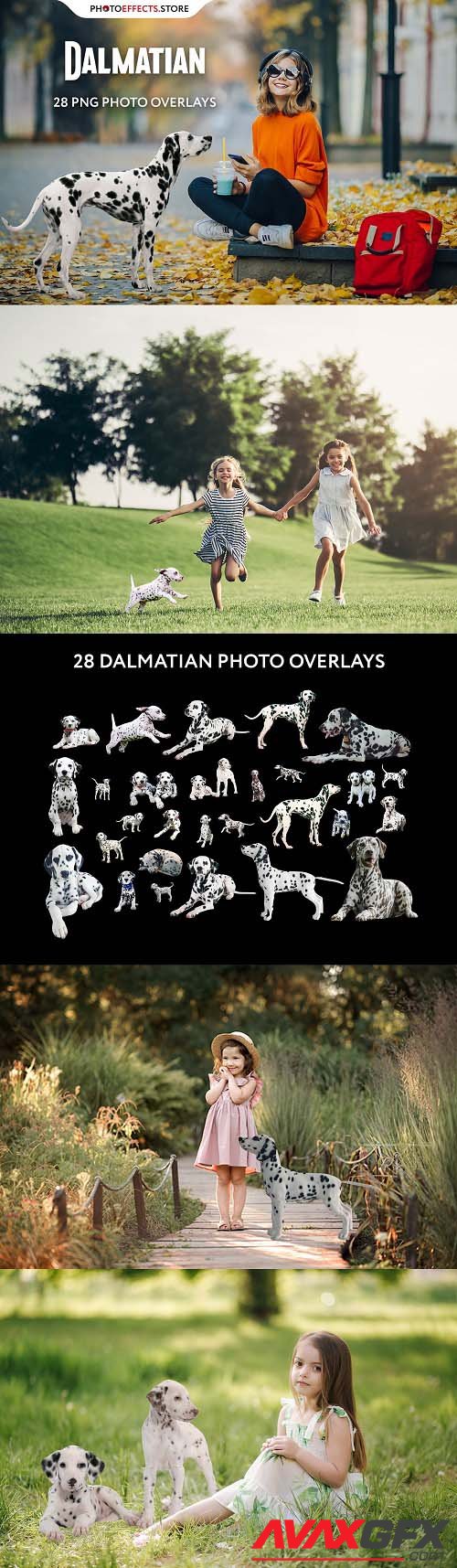 28 Dalmatian Photo Overlays - 6652850