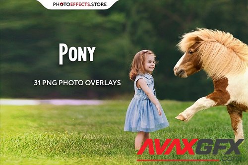 31 Pony Photo Overlays - 6652856