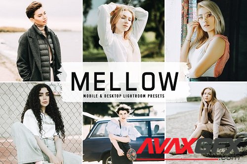 Mellow Pro Lightroom Presets - 6675061