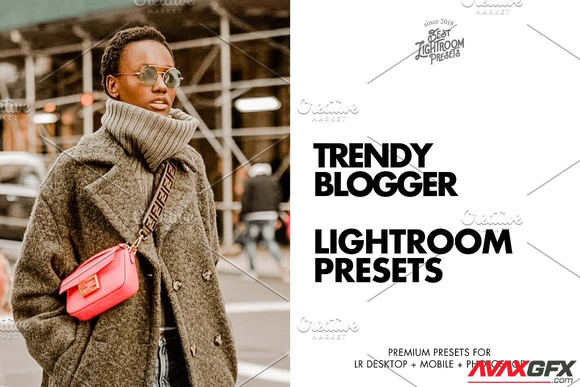 CreativeMarket - Lightroom Presets Trendy Blogger 4114916