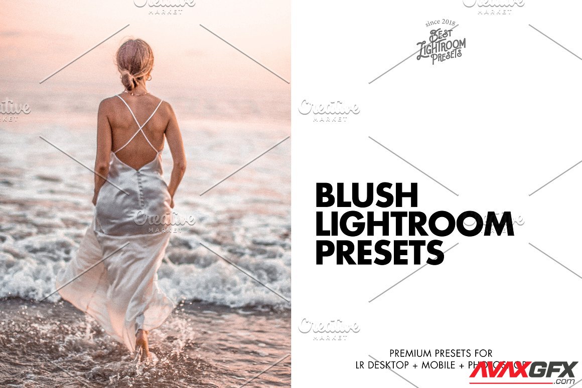 CreativeMarket - 11 Best Blush Pink Lightroom Presets 6467472