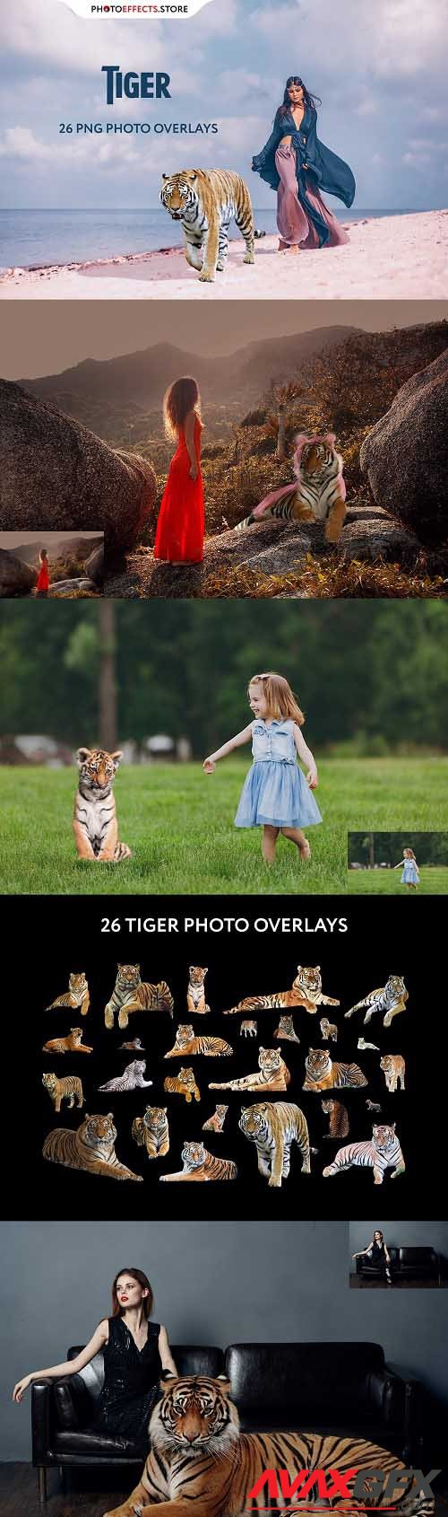 26 Tiger Photo Overlays - 6666419