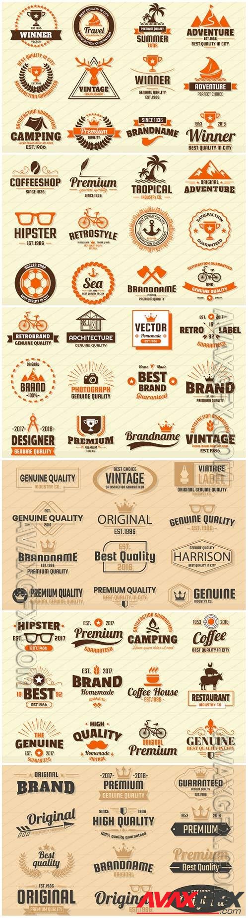 Vintage logos and badges in vector