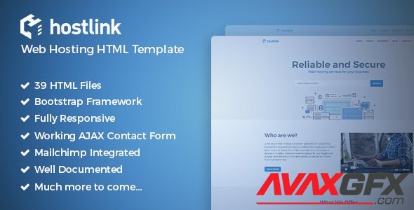 ThemeForest - Hostlink v1.0 - Web Hosting HTML Template - 19727180