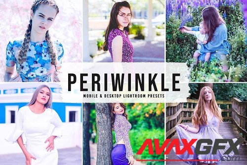 Periwinkle Pro Lightroom Presets - 6695374