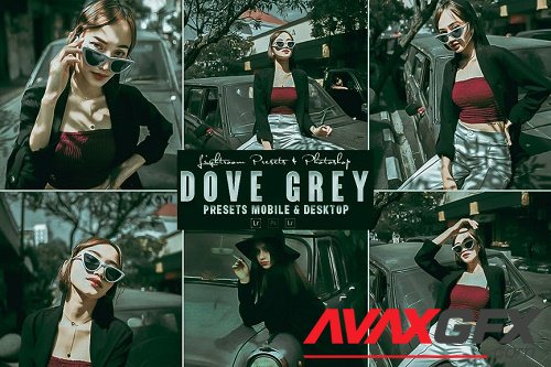 Dove Grey Photoshop Action & Lightrom Presets