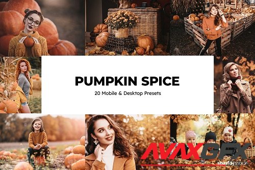 20 Pumpkin Spice Lightroom Presets - 6667841