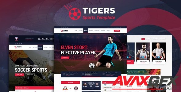 ThemeForest - Tigers v1.0 - Soccer Sports HTML Template - 25587219