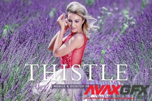 Thistle Pro Lightroom Presets - 6747760