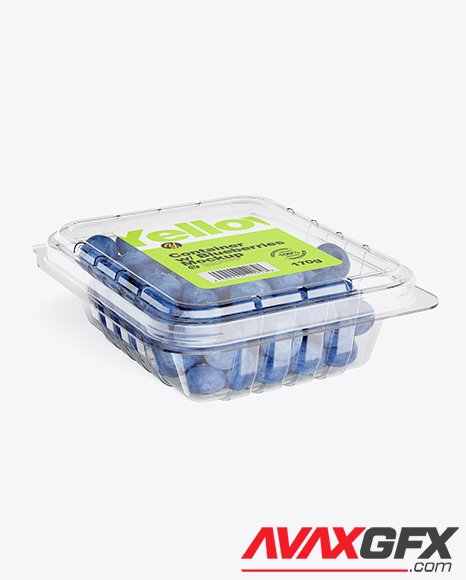 Container w/ Blueberries Mockup 42354