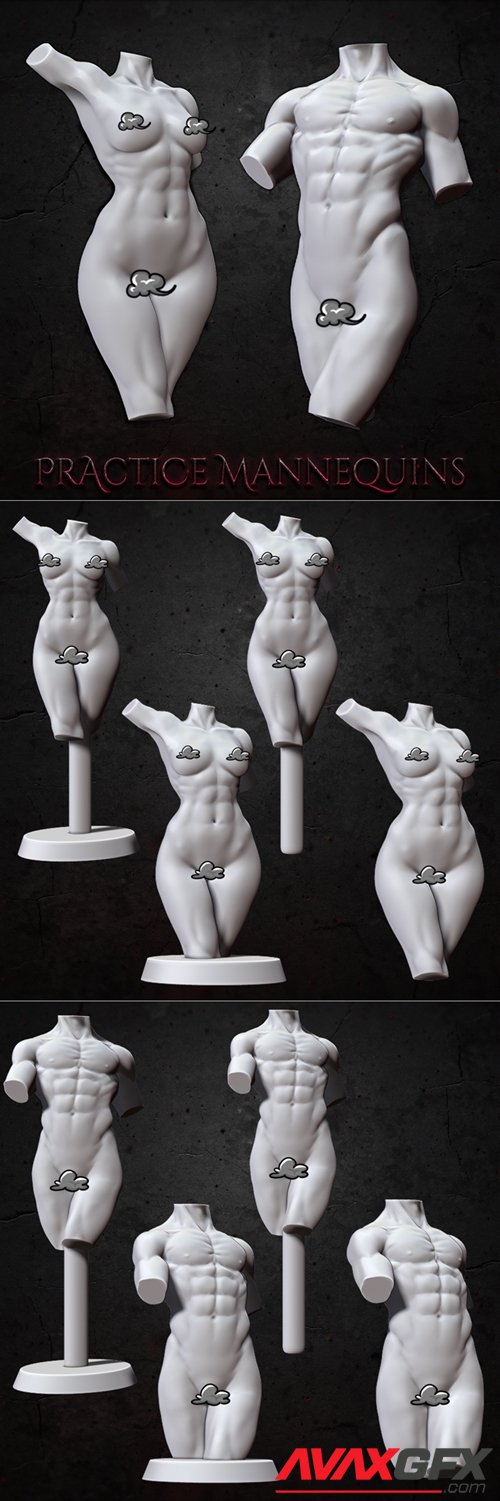 Practice Mannequins – 3D Printable STL