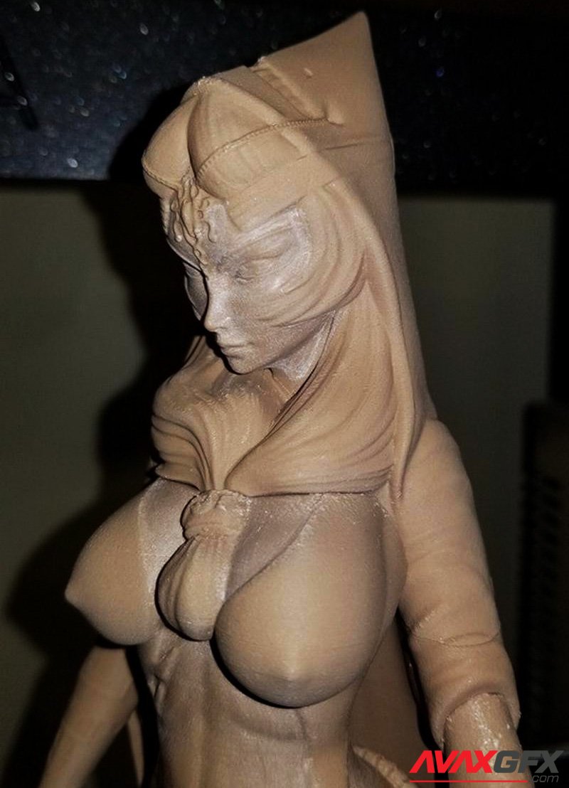 Princess of the Twilight 3D Printable STL