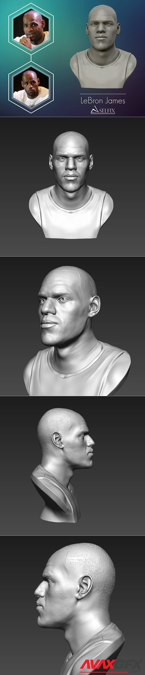 LeBron James Bust – 3D Printable STL