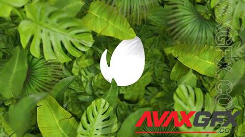 Nature Logo 35376432 (VideoHive)