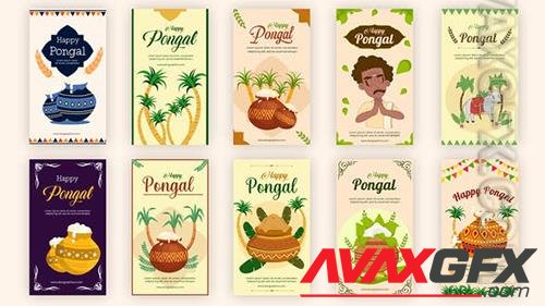 Happy Pongal Instagram Story 35403540 (VideoHive)