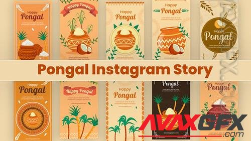 Pongal Instagram Story Pack 35403593 (VideoHive)