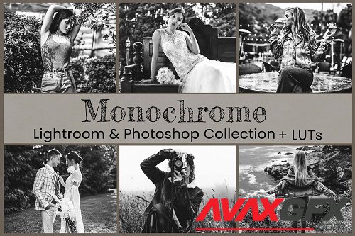 Monochrome Lightroom Photoshop LUT - 6802983