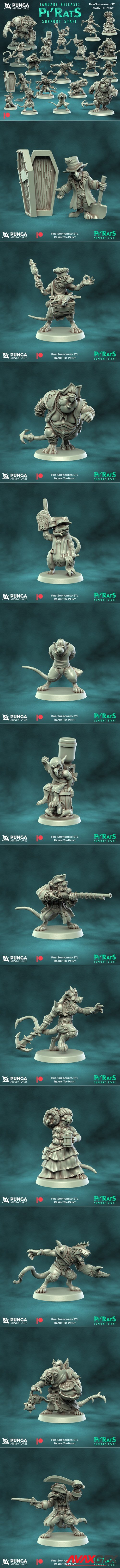 Pi'Rats Support Staff January Release – 3D Printable STL