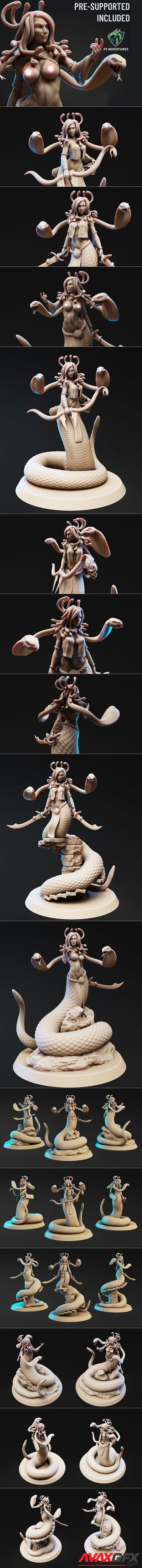 Pureblood Medusa Bundle – 3D Printable STL