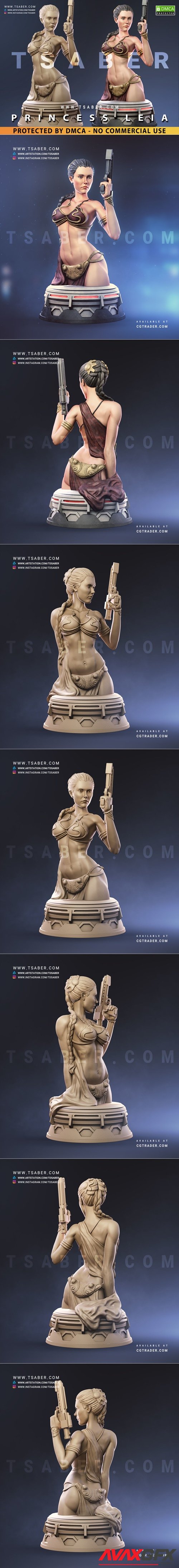 Princess Leia Bust – 3D Printable STL