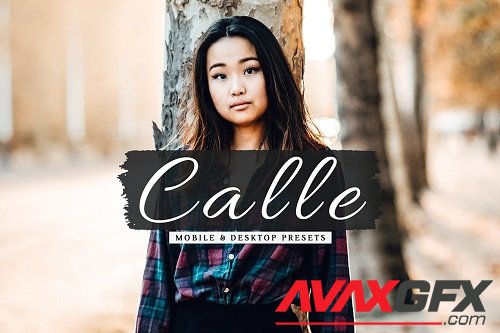 Calle Pro Lightroom Presets - 6811780