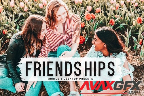 Friendships Pro Lightroom Presets - 6812637