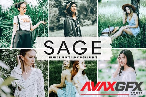 Sage Pro Lightroom Presets - 6832565