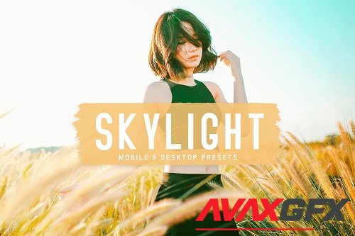 Skylight Pro Lightroom Presets - 6834951