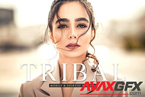 Tribal Pro Lightroom Presets - 6837020