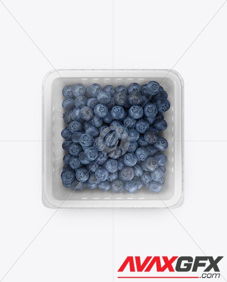 Container w/ Blueberry Mockup 49552